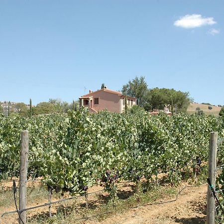מונטיאנו Agriturismo Pian Dei Pini מראה חיצוני תמונה
