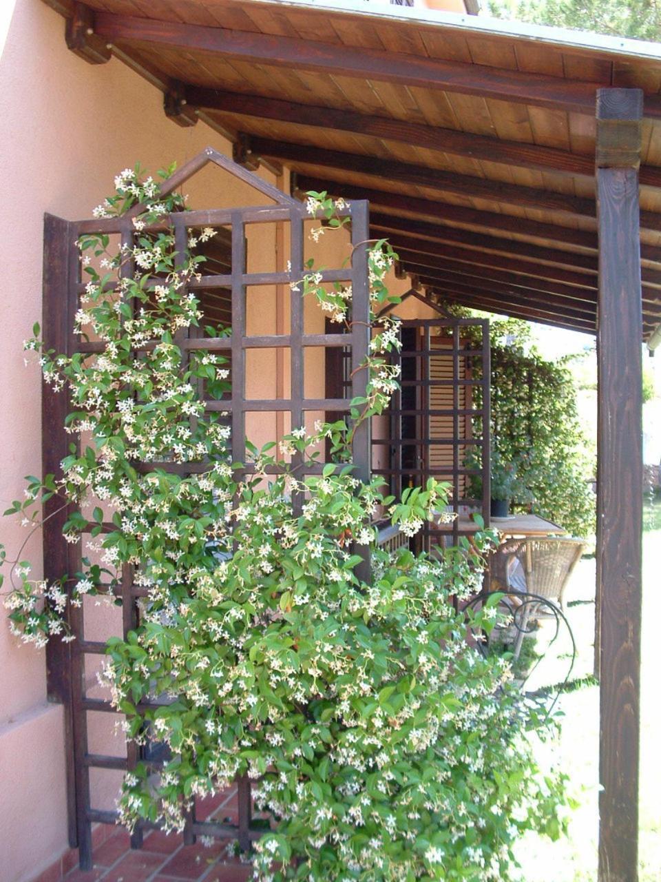 מונטיאנו Agriturismo Pian Dei Pini מראה חיצוני תמונה