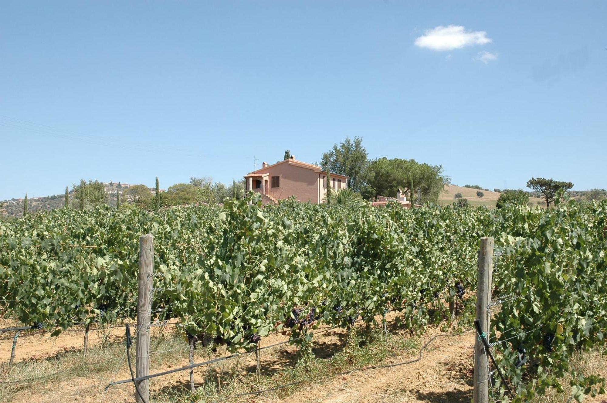 מונטיאנו Agriturismo Pian Dei Pini מראה חיצוני תמונה