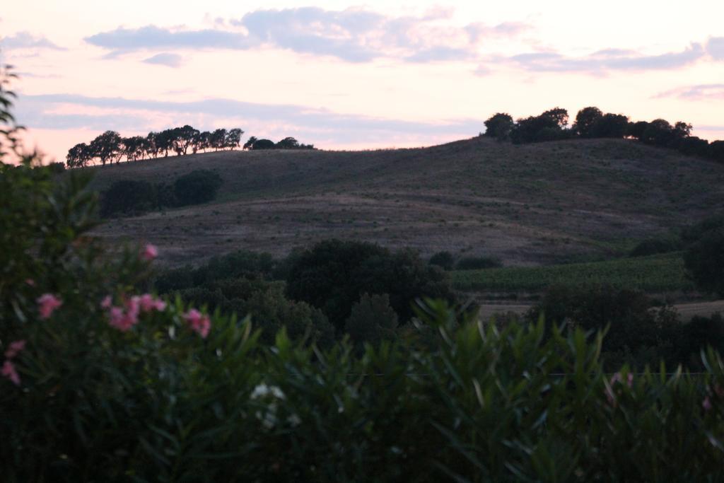מונטיאנו Agriturismo Pian Dei Pini מראה חיצוני תמונה